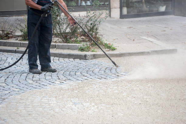 Best Sidewalk and Walkway Cleaning  in Sturgeon Bay, WI