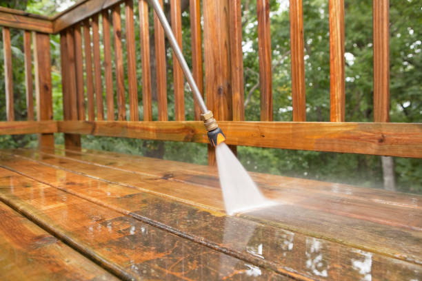 Best Animal Enclosure Cleaning  in Sturgeon Bay, WI